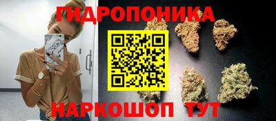 тгк Тверь