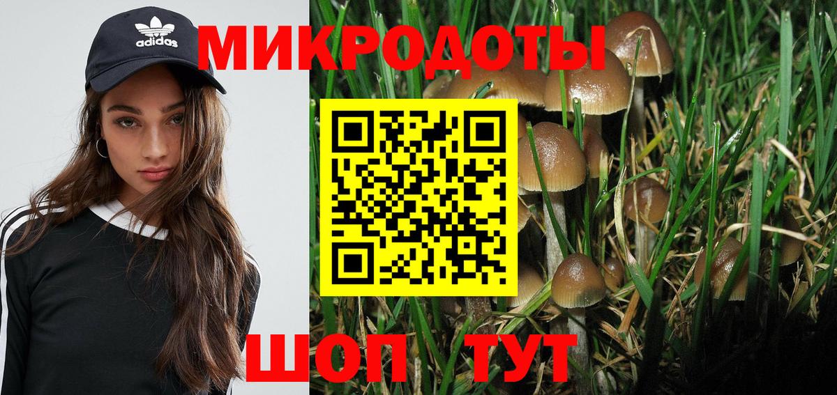 Псилоцибиновые грибы GOLDEN TEACHER Нововоронеж