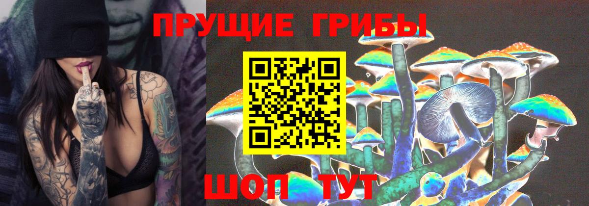 Псилоцибиновые грибы Psilocybe  Вход с VPN  Галлюциногенные грибы Psilocybine cubensis  Нововоронеж 
